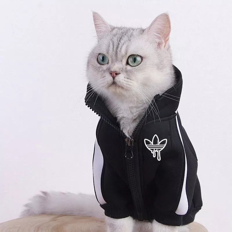 https://www.geekmagazine.com.br/wp-content/uploads/2021/06/moda-gato-roupas-pet-gato-casacos-jaqueta-hoodies-para-gatos-roupa-quente-animal-de.webp